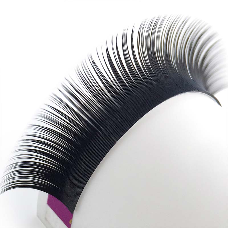 single lash 2