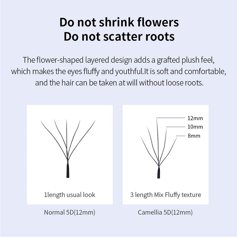 camellia 4d5dlash2