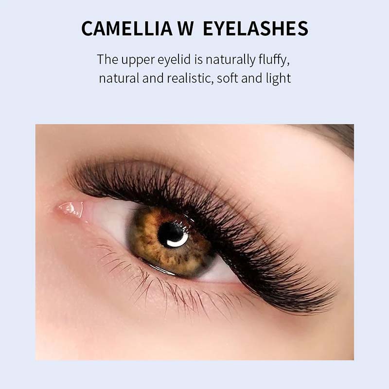 camellia 4d5dlash3