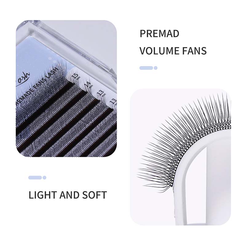 camellia 4d5dlash5